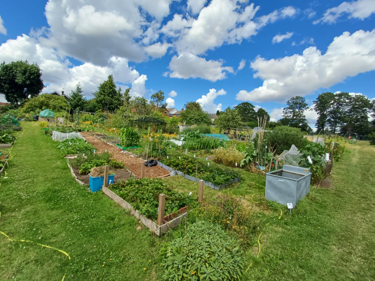 Allotments